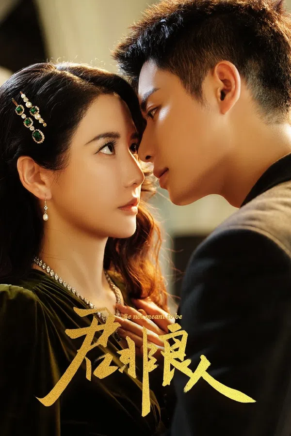 Poster phim Chàng Không Phải Người Tốt trên PhimMoi