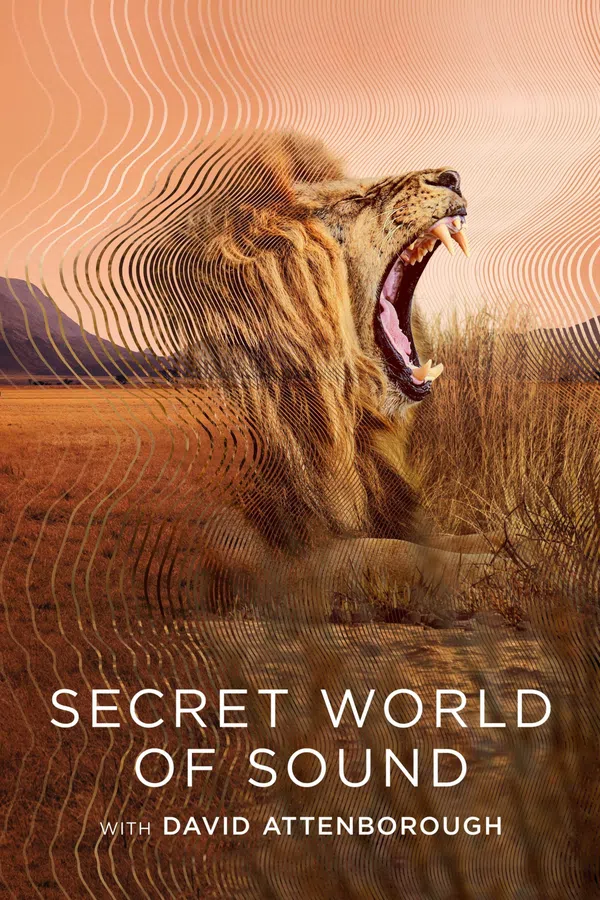 Poster phim David Attenborough: Thế giới bí mật của âm thanh trên PhimMoi